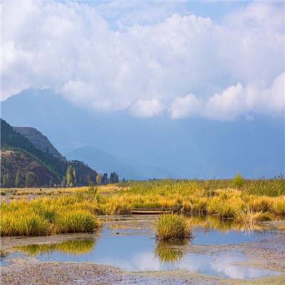 “香了岁月，香了家乡”——西藏林芝牢记嘱托走生态优先、绿色发展之路的实践探索